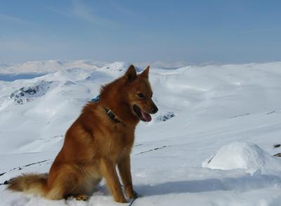 post-12337-0-30128300-1398701244_thumb.j