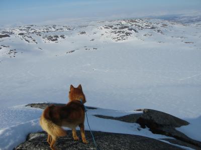 post-12337-0-42501800-1398701349_thumb.j