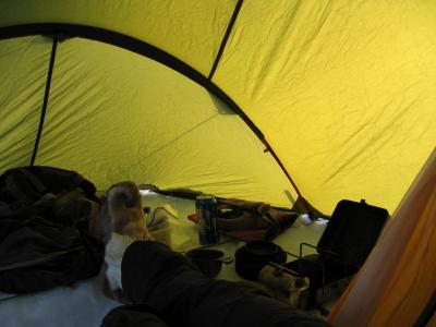 post-12337-0-47757200-1398701966_thumb.j