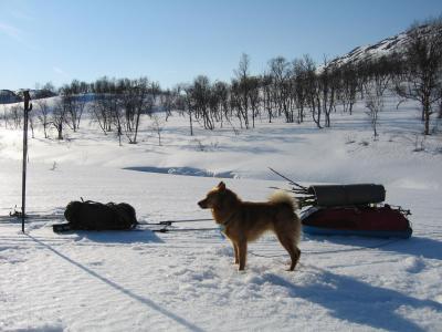 post-12337-0-86441000-1398701590_thumb.j