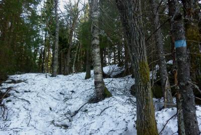 post-12580-0-18694800-1398635105_thumb.j