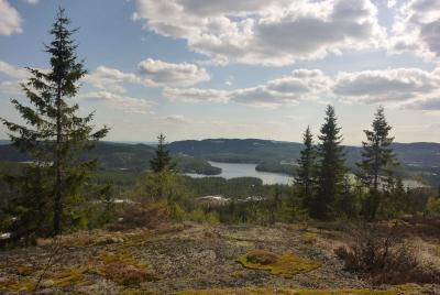 post-12580-0-20157400-1398635108_thumb.j