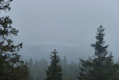 post-12580-0-22411000-1396798920_thumb.j