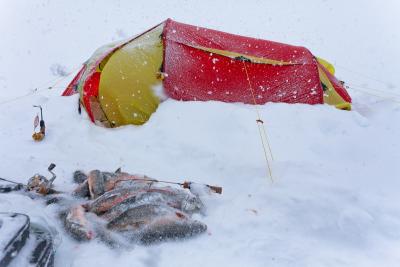 post-13005-0-53236100-1396972297_thumb.j