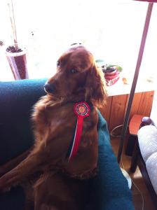 post-14188-0-50708100-1397671899_thumb.j