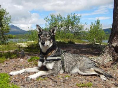 post-14373-0-21054900-1397939568_thumb.j