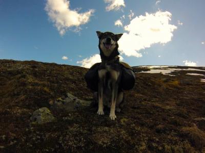 post-14373-0-34685900-1397939600_thumb.j