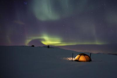 post-14443-0-37151500-1398107534_thumb.j