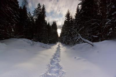 post-14443-0-78950500-1398107011_thumb.j