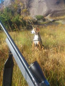 post-14529-0-01641300-1398378920_thumb.j