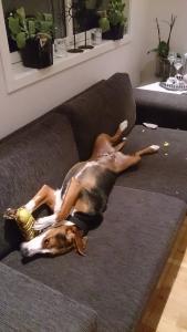 post-14529-0-66616800-1398378930_thumb.j