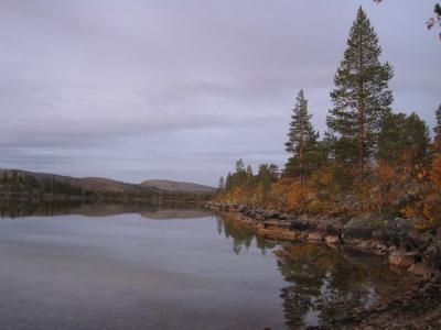 post-1852-0-30503800-1397600560_thumb.jp