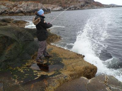 post-3851-0-19513400-1398184192_thumb.jp