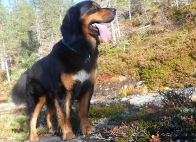 post-3851-0-34301800-1397429458_thumb.jp