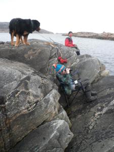 post-3851-0-70435500-1398184167_thumb.jp