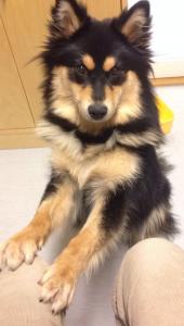 post-4078-0-23711600-1398409377_thumb.jp