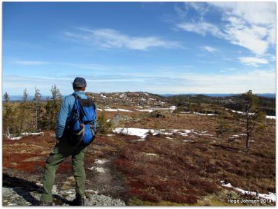 post-4444-0-62105500-1398019691_thumb.jp