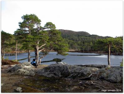 post-4444-0-75059100-1398278609_thumb.jp