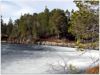 post-4444-0-96651400-1398452210_thumb.jp