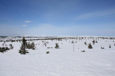 post-4639-0-12000400-1398628450_thumb.jp