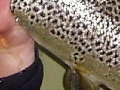 post-6295-0-03645400-1397598349_thumb.jp