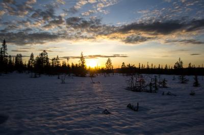 post-7957-0-21197700-1398500147_thumb.jp