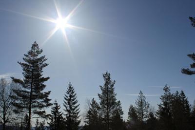 post-8184-0-82406700-1397925577_thumb.jp