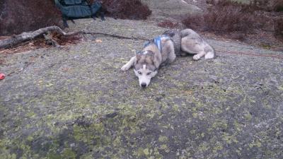 post-8488-0-31439400-1396698933_thumb.jp