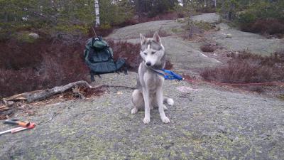 post-8488-0-51465400-1396698904_thumb.jp