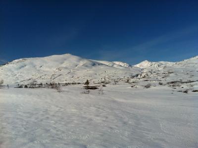 post-9060-0-03522700-1397853047_thumb.jp