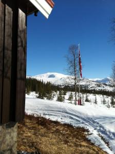 post-9060-0-56854100-1397853034_thumb.jp