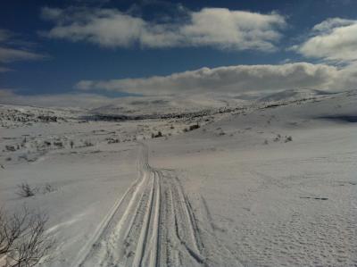 post-9060-0-61283300-1397853010_thumb.jp