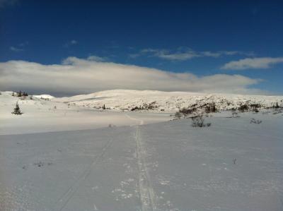 post-9060-0-95213900-1397853024_thumb.jp