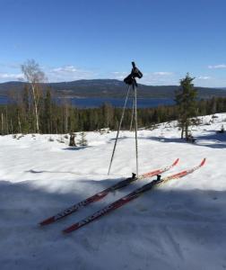 post-1038-0-63909300-1429884184_thumb.jp