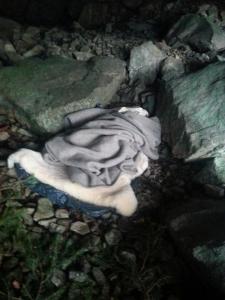 post-11179-0-09132100-1427882625_thumb.j