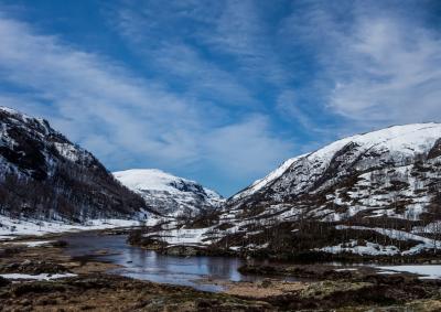 post-13043-0-66741600-1429470138_thumb.j