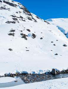 post-13206-0-50086600-1430205396_thumb.j