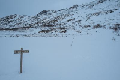 post-13206-0-55169300-1428441237_thumb.j