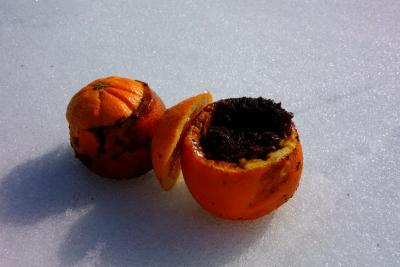 post-14504-0-58086700-1430163262_thumb.j