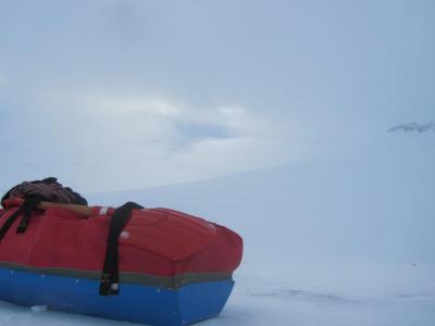 post-1466-0-40117200-1430258255_thumb.jp