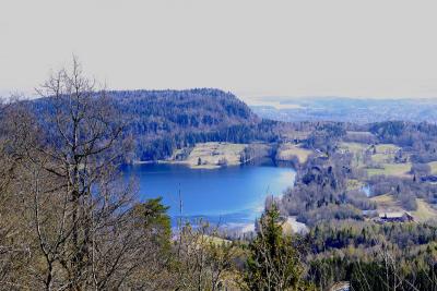 post-5000-0-51710800-1429549219_thumb.jp