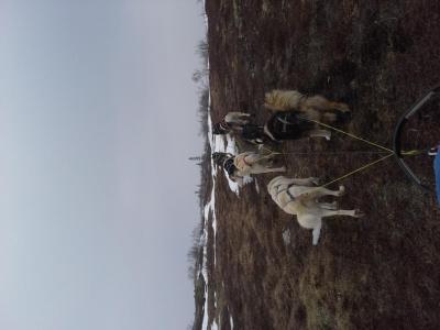 post-6663-0-84273800-1428951786_thumb.jp