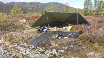 post-8967-0-51779900-1430002070_thumb.jp