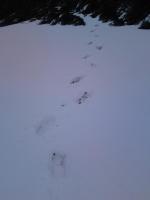 post-1054-0-33117700-1338239768_thumb.jp