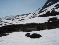 post-1073-0-08537800-1338107097_thumb.jp