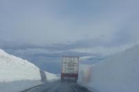 post-8614-0-87711900-1337184763_thumb.jp