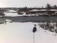 post-1047-0-08669500-1369131477_thumb.jp