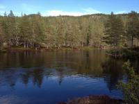 post-11141-0-42840200-1368996467_thumb.j