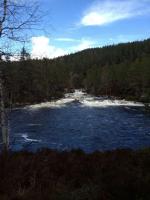 post-11141-0-51507800-1368996502_thumb.j