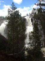 post-11141-0-68692400-1368996414_thumb.j